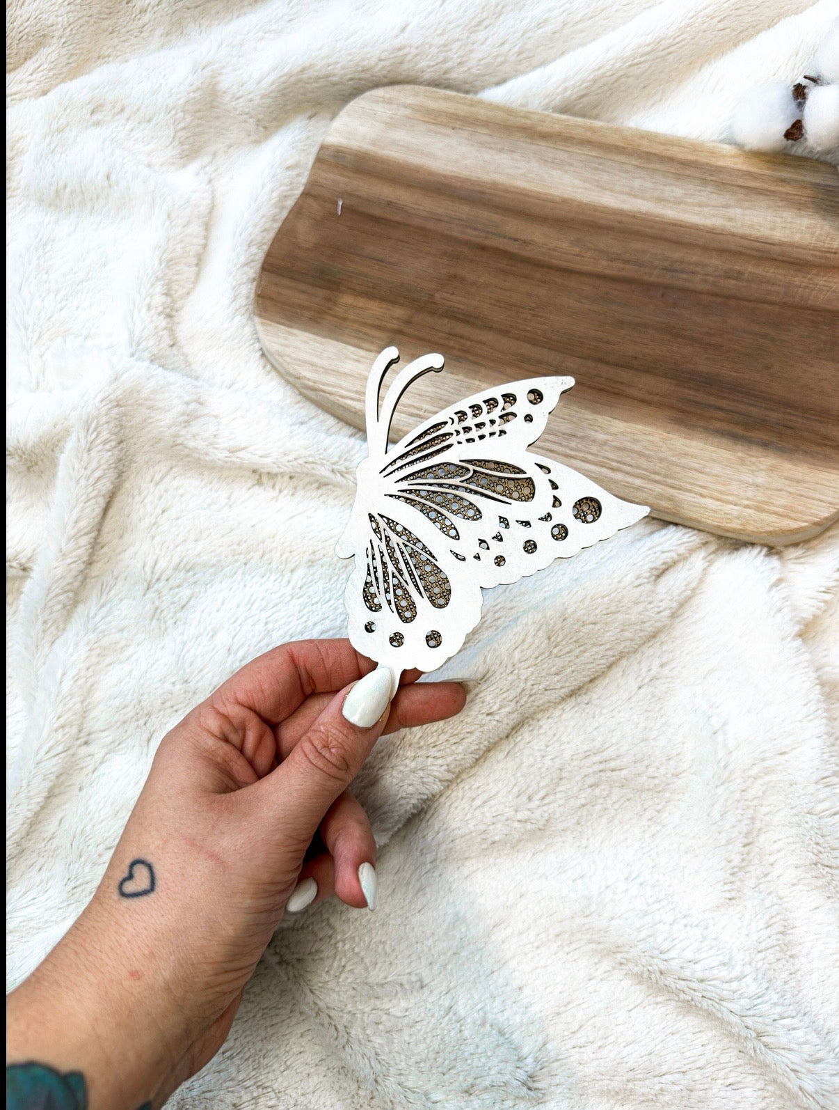 Papillon Anna