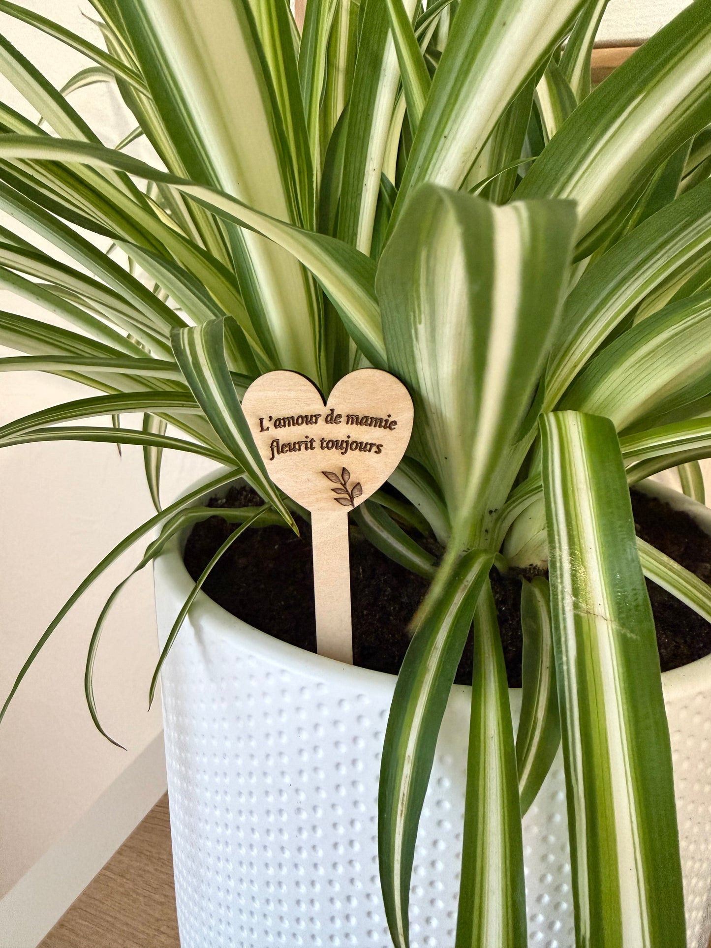Topper plante