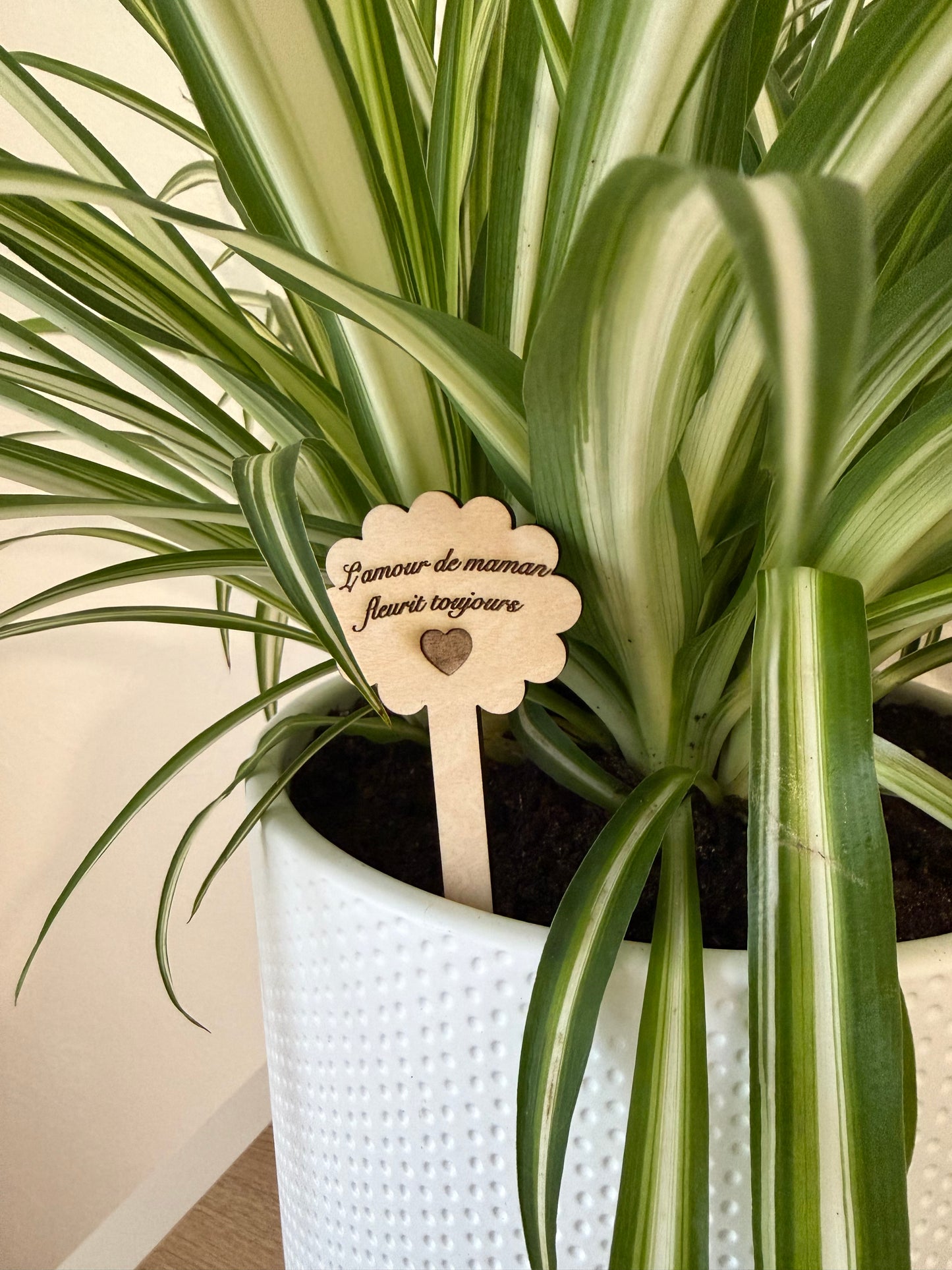Topper plante