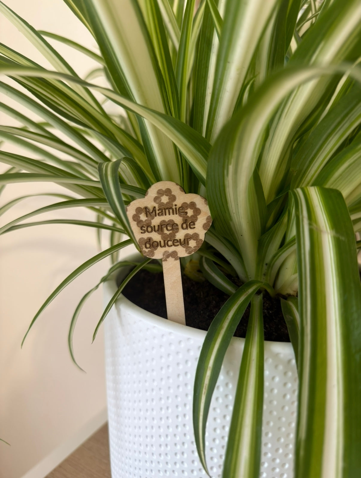 Topper plante